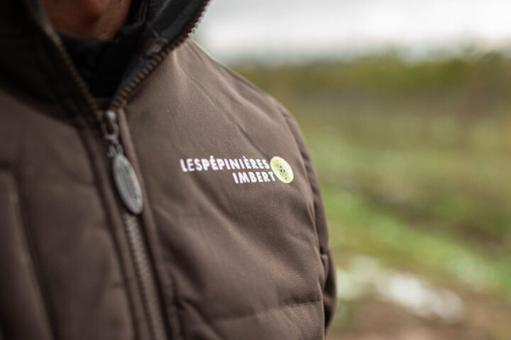 image-pepiniere-traditionnelle